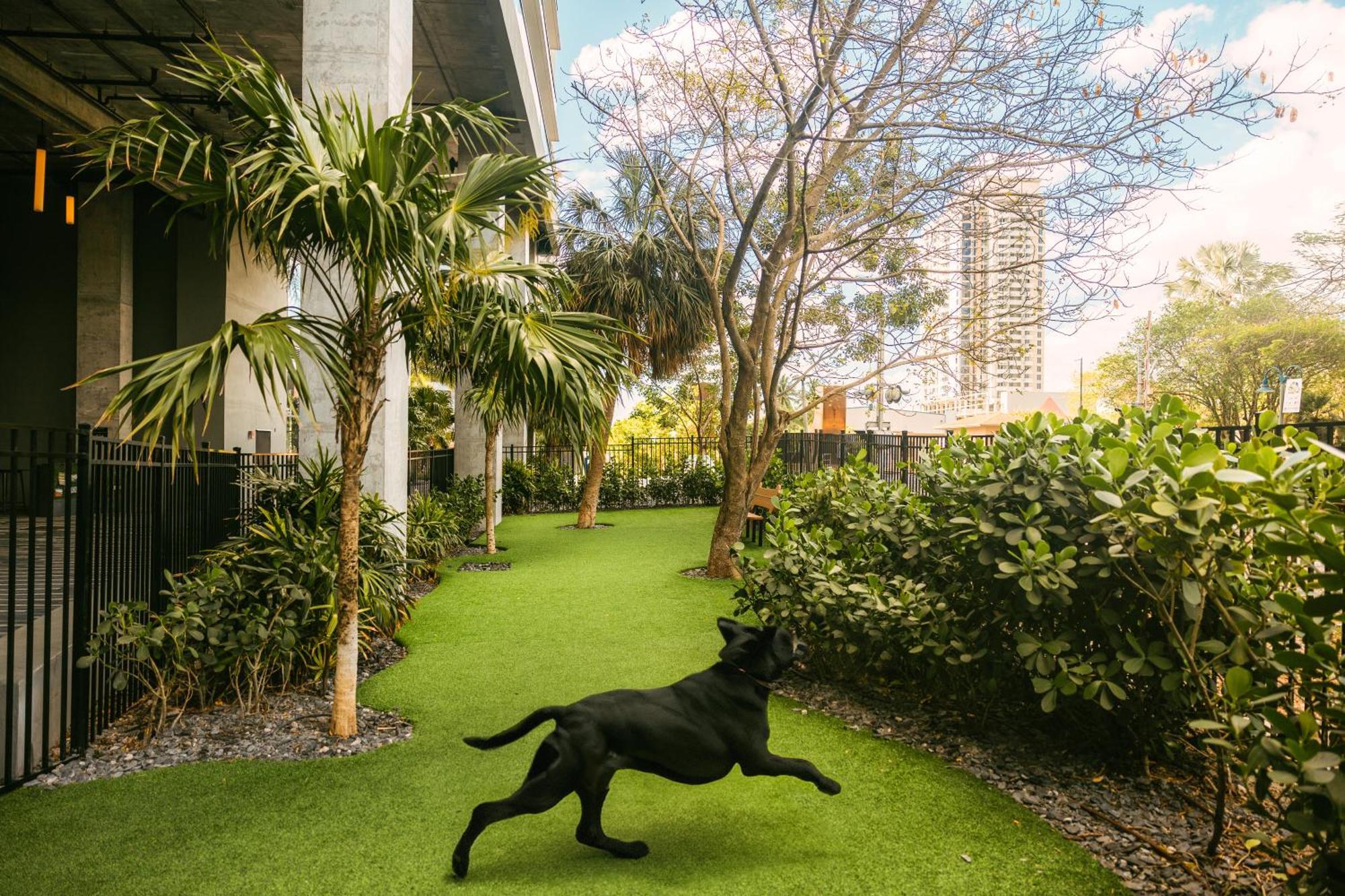 Flow Fort Lauderdale Hotel Exterior foto